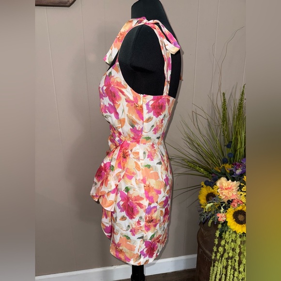 Sofia The Label • Marni Mini Dress - Picture 13 of 16